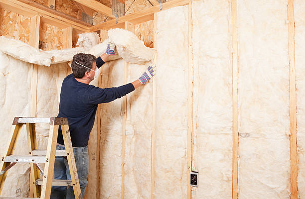 Best Eco-Friendly or Green Insulation Solutions in Northwood, OH